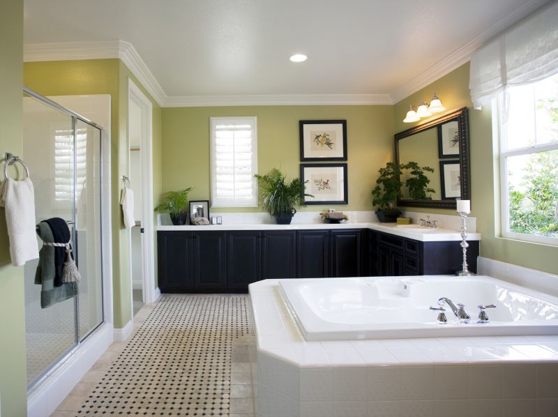 Elegant Bathtub Conversion